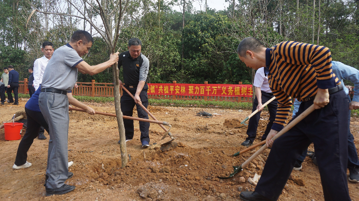 植樹(shù)圖片(1).JPG